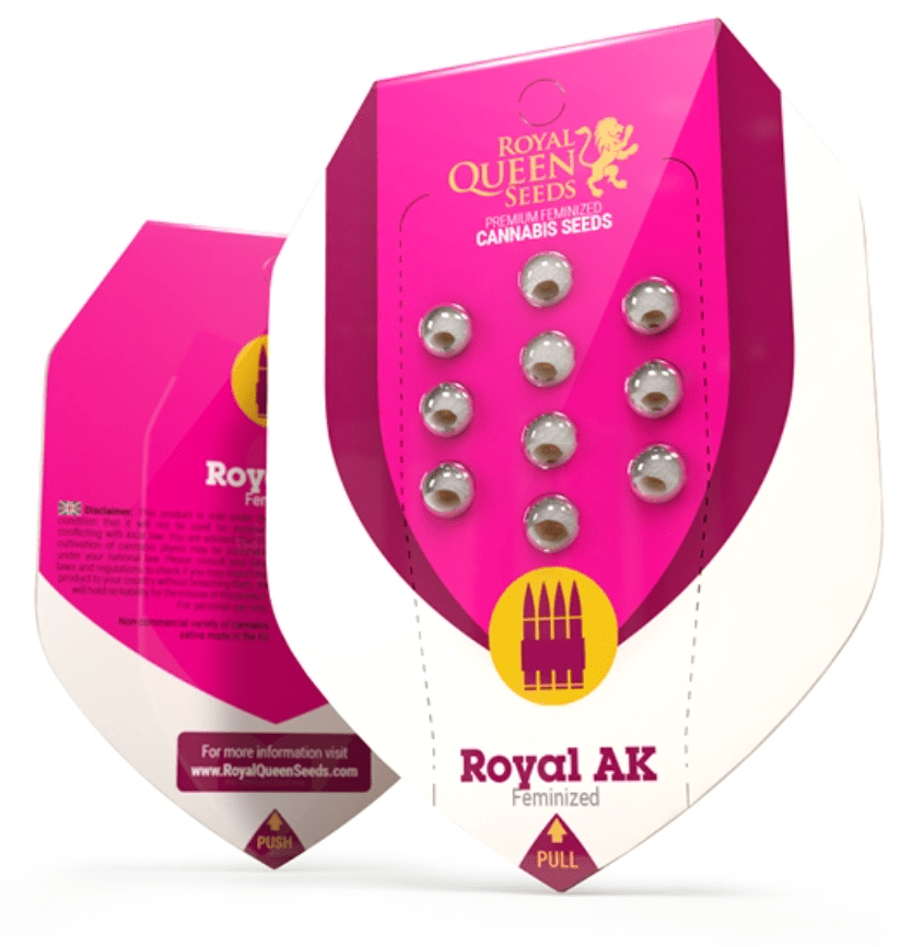 Royal AK Royal Queen Seeds (Pack: 3 uds)1