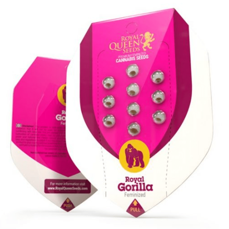 Royal Gorilla Royal Queen Seeds (Pack: 3 uds)1