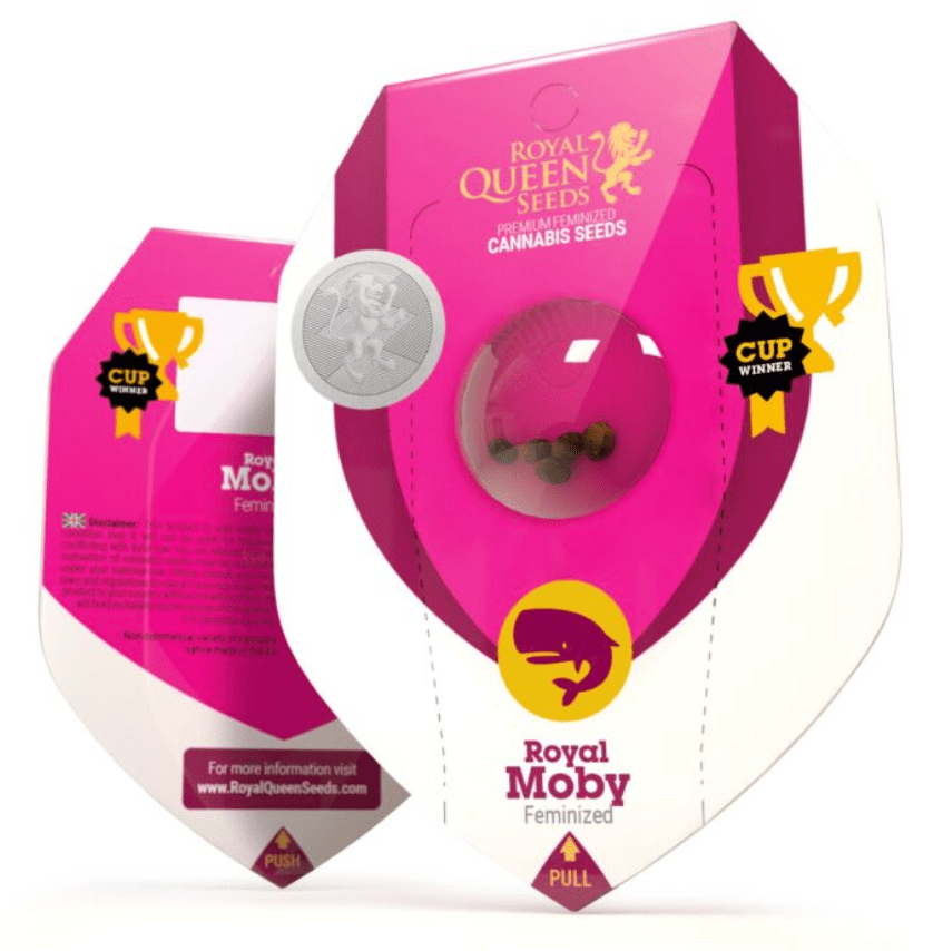 Royal Moby Royal Queen Seeds (Pack: 3 uds)1