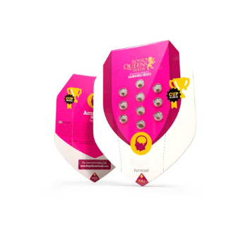 Shining Silver Haze Royal Queen Seeds (Pack: 3 uds)1