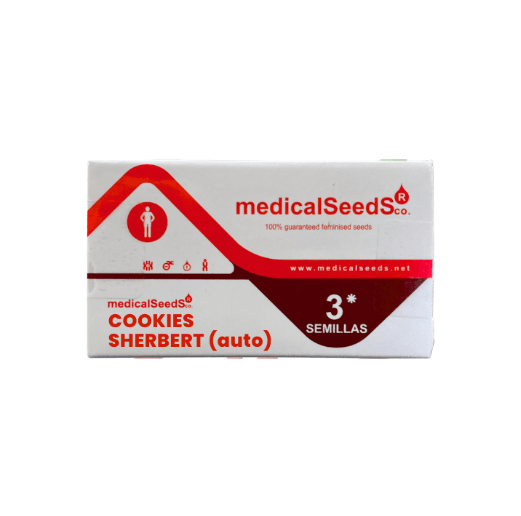 MEDICAL SEEDS COOKIES SHERBERT AUTO X 31