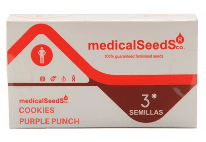 MEDICAL SEEDS COOKIES PURPLE PUNCH 3UN1