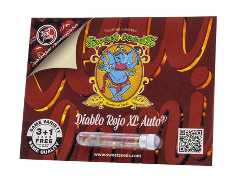 SWEET SEEDS DIABLO ROJO AUTO XL 3+11