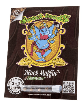 SWEET SEEDS BLACK MUFFIN F1 3+1 UNID1