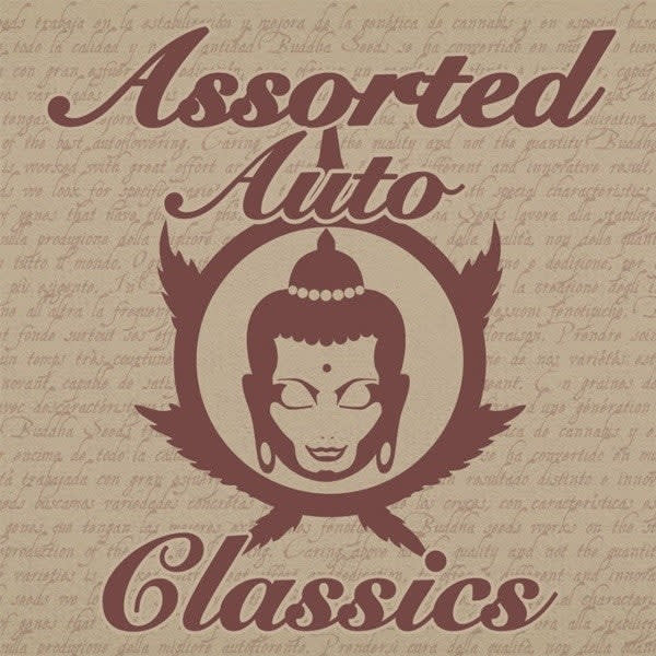 BUDDHA SEEDS ASSORTED AUTO CLASSICS 10 UN1