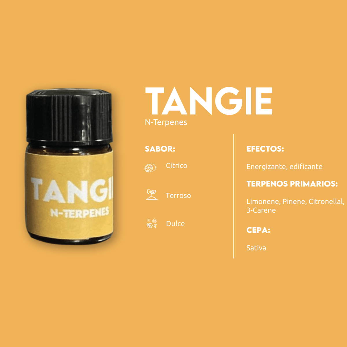 TERPENOS 1ML1