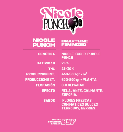 NICOLE PUNCH X41