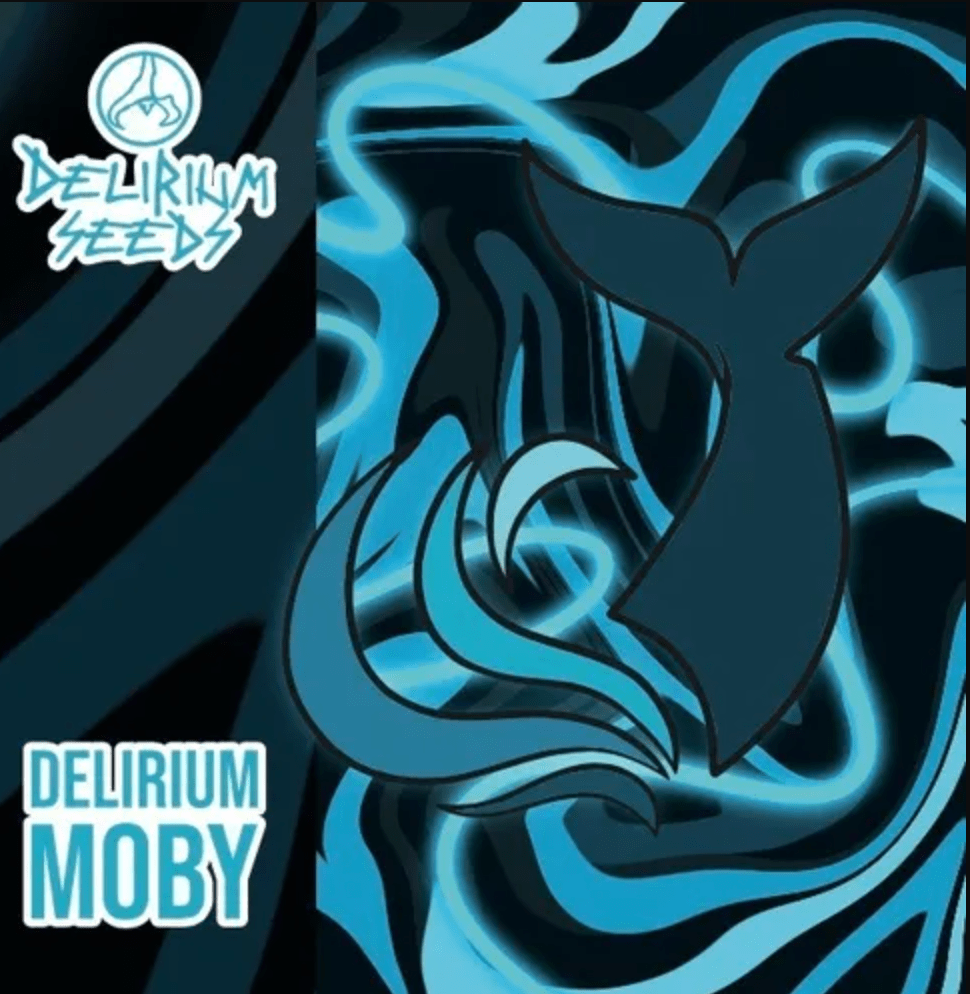 DELIRIUM SEEDS AUTO DLR MOBY XL X11
