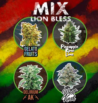 DELIRIUM SEEDS MIX LION BLESS AUTO X 41