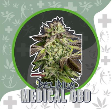 DELIRIUM SEEDS MEDICAL CBD FEM X21