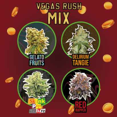 DELIRIUM SEEDS VEGAS RUSH MIX FEM x 41