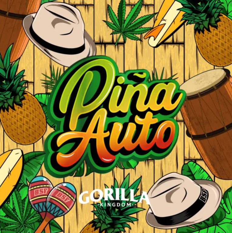 BSF GORILLA PIÑA AUTO 4 UNID1