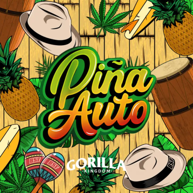 BSF GORILLA PIÑA AUTO 12 UNID1