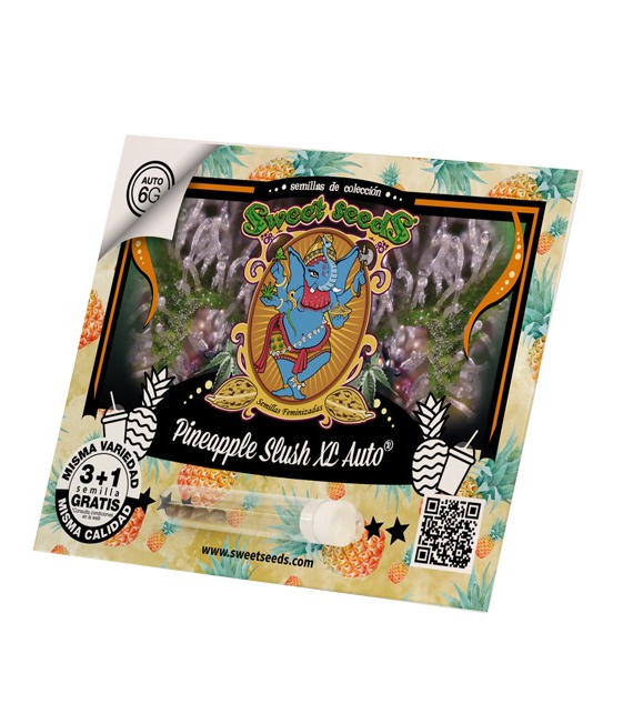 Pineapple Slush XL 3+1 Auto - Sweet Seeds1