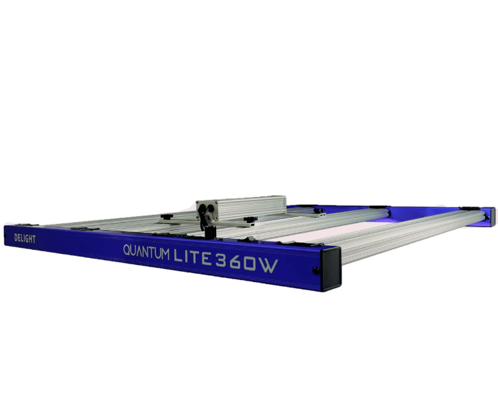 QUANTUM LITE 360W-DELIGHT1