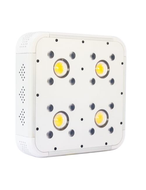 APOLLO EVOLUTION LED 4 COB/SMD 136W1