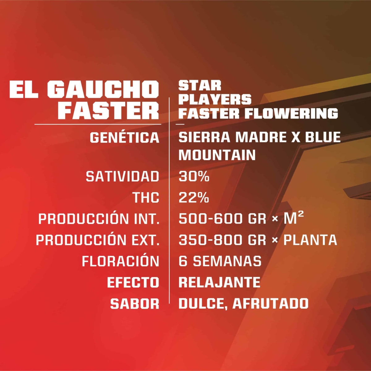 BSF SEEDS EL GAUCHO FASTER 100 unid GROW UP2