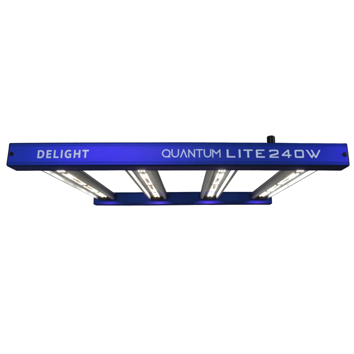 QUANTUM LITE 240W-DELIGHT1