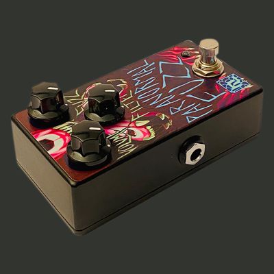 PARANORMAL FUZZ PARANORMAL FUZZ