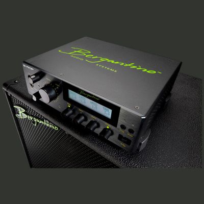 B|AMP B|AMP