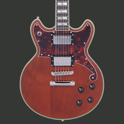 D'ANGELICO DELUXE BRIGHTON1