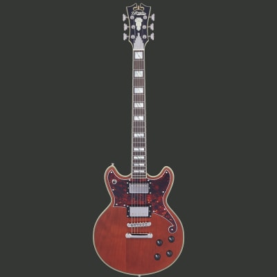 D'ANGELICO DELUXE BRIGHTON