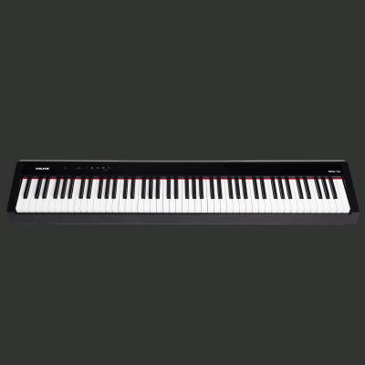 NUX NPK-101