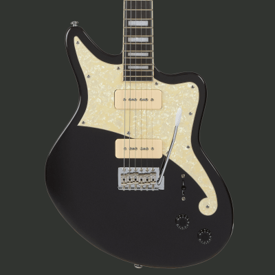 D'ANGELICO PREMIER BEDFORD BLACK FLAKE1