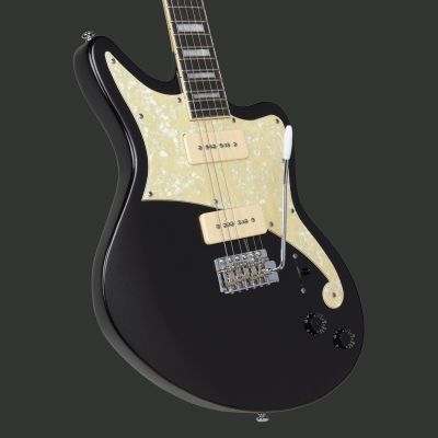 D'ANGELICO PREMIER BEDFORD BLACK FLAKE