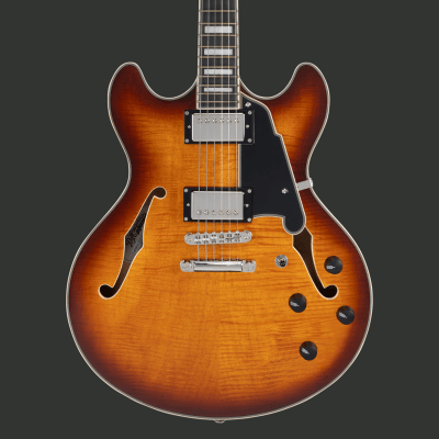 D'ANGELICO PREMIER DC DARK ICED TEA BURST PREVENTA1