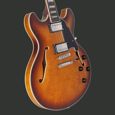 D'ANGELICO PREMIER DC DARK ICED TEA BURST PREVENTA