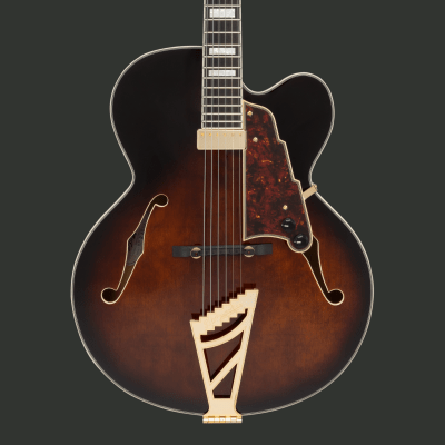 D'ANGELICO PREMIER EXL-1 BROWN BURST1