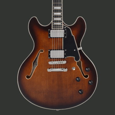 D'ANGELICO PREMIER DC BROWN BURST PREVENTA1