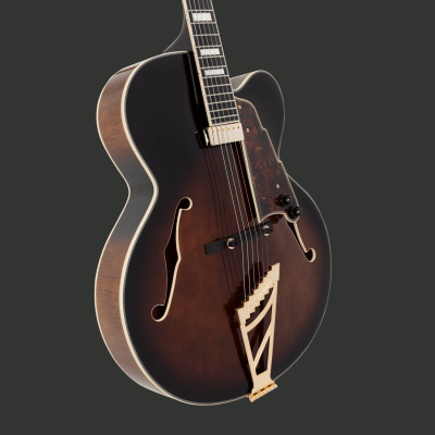 D'ANGELICO PREMIER EXL-1 BROWN BURST