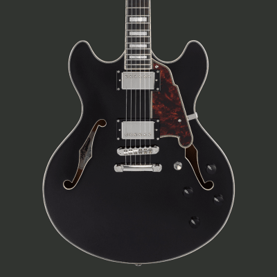 D'ANGELICO PREMIER DC BLACK FLAKE PREVENTA