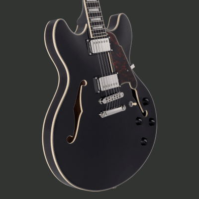 D'ANGELICO PREMIER DC BLACK FLAKE PREVENTA