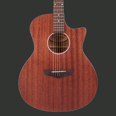 D'ANGELICO PREMIER GRAMERCY LS NATURAL MAHOGANY SATIN1