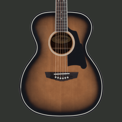 D'ANGELICO PREMIER TAMMANY LS AGED BURST1