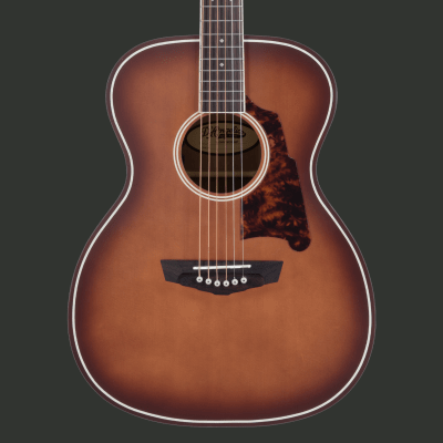 D'ANGELICO PREMIER TAMMANY LS CARAMEL BURST1