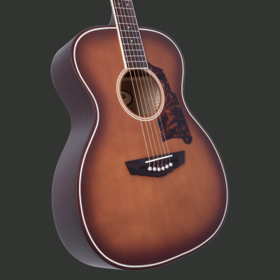 D'ANGELICO PREMIER TAMMANY LS CARAMEL BURST D'ANGELICO PREMIER TAMMANY LS CARAMEL BURST