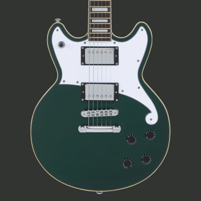 D'ANGELICO PREMIER BRIGHTON SATIN SHERWOOD GREEN PREVENTA1