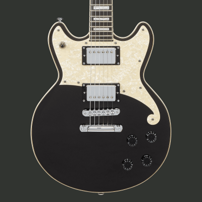 D'ANGELICO PREMIER BRIGHTON BLACK FLAKE1