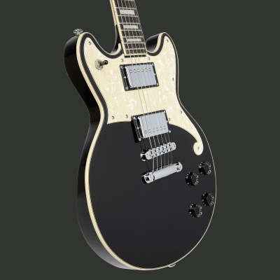 D'ANGELICO PREMIER BRIGHTON BLACK FLAKE