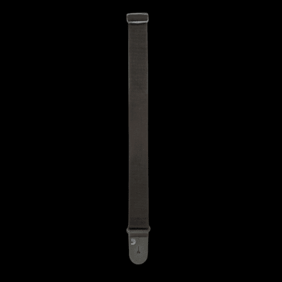 D'ADDARIO STRAP PWS100 D'ADDARIO STRAP PWS100
