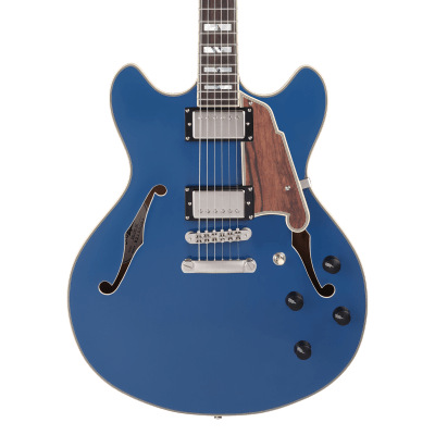 D'ANGELICO DELUXE DC LIMITED EDITION D'ANGELICO DELUXE DC LIMITED EDITION