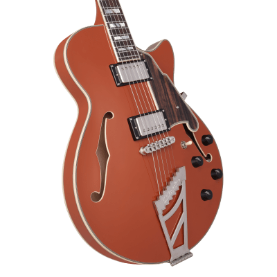 D'ANGELICO DELUXE SS LIMITED EDITION D'ANGELICO DELUXE SS LIMITED EDITION