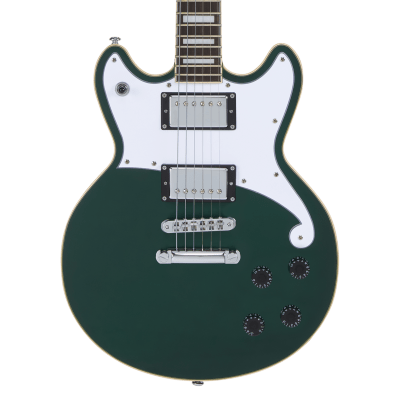 D'ANGELICO PREMIER BRIGHTON SATIN SHERWOOD GREEN1