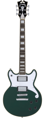 D'ANGELICO PREMIER BRIGHTON SATIN SHERWOOD GREEN D'ANGELICO PREMIER BRIGHTON SATIN SHERWOOD GREEN