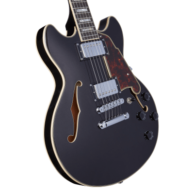 D'ANGELICO PREMIER MINI DC9