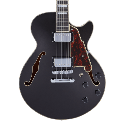D'ANGELICO PREMIER SS (WITH STOPBAR TAILPIECE) D'ANGELICO PREMIER SS (WITH STOPBAR TAILPIECE)